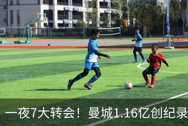 一夜7大转会！曼城1.16亿创纪录，渣叔接手德国队，英超意甲西甲大洗牌